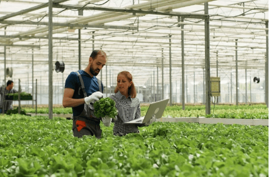 agriculture