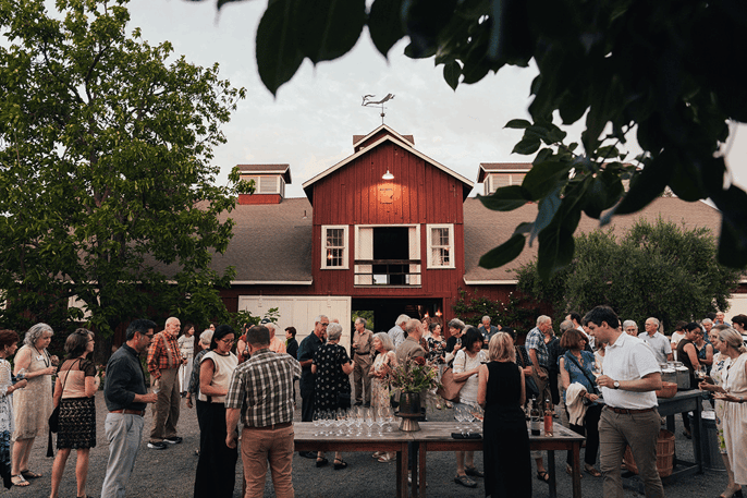 frogs-leap-winery-2