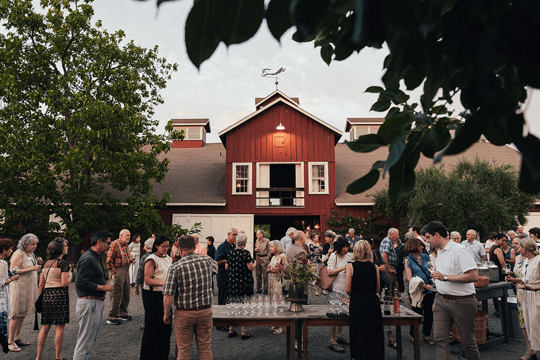 frogs-leap-winery-2