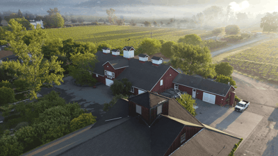 frogs-leap-winery-3